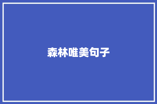 森林唯美句子