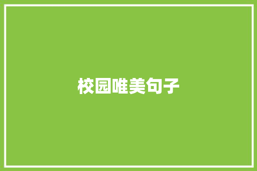 校园唯美句子