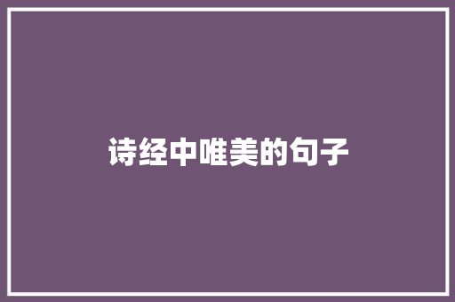 诗经中唯美的句子