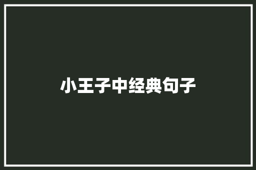 小王子中经典句子