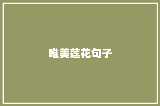 唯美莲花句子