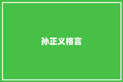 孙正义格言