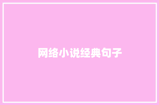 网络小说经典句子