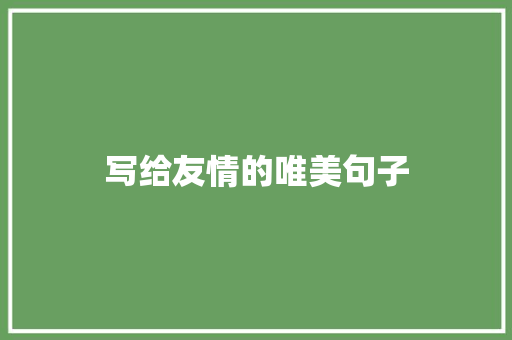 写给友情的唯美句子