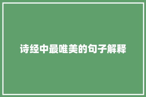 诗经中最唯美的句子解释