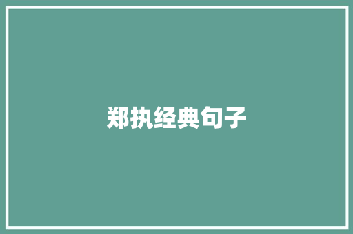 郑执经典句子
