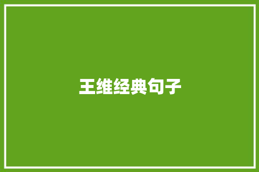 王维经典句子