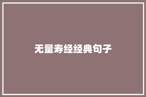 无量寿经经典句子