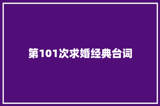 第101次求婚经典台词