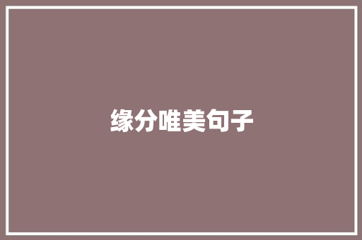 缘分唯美句子
