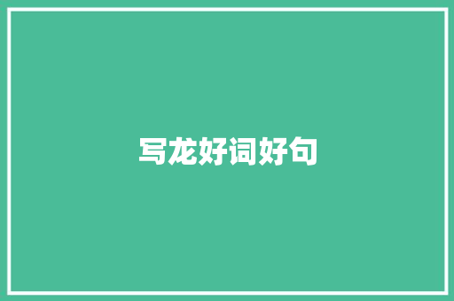 写龙好词好句