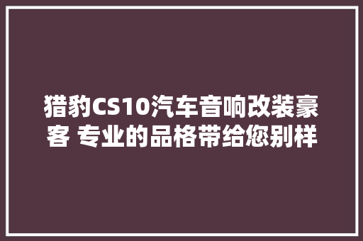 猎豹CS10汽车音响改装豪客 专业的品格带给您别样的声动。