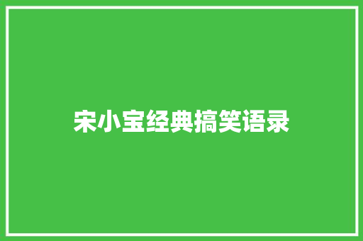 宋小宝经典搞笑语录