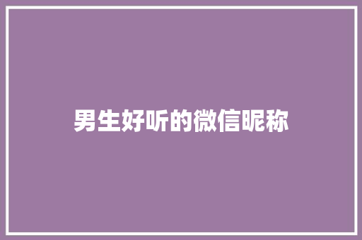 男生好听的微信昵称