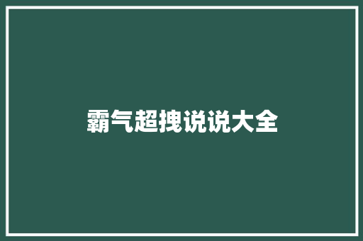 霸气超拽说说大全