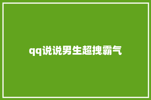 qq说说男生超拽霸气