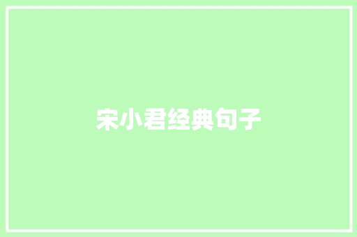 宋小君经典句子