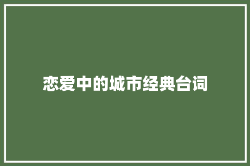恋爱中的城市经典台词