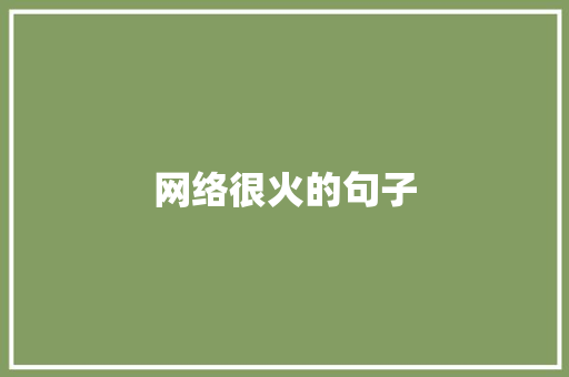 网络很火的句子