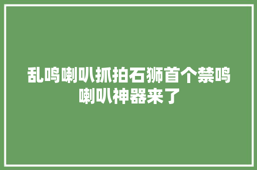 乱鸣喇叭抓拍石狮首个禁鸣喇叭神器来了