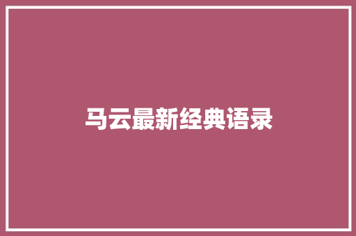 马云最新经典语录