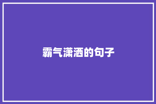 霸气潇洒的句子