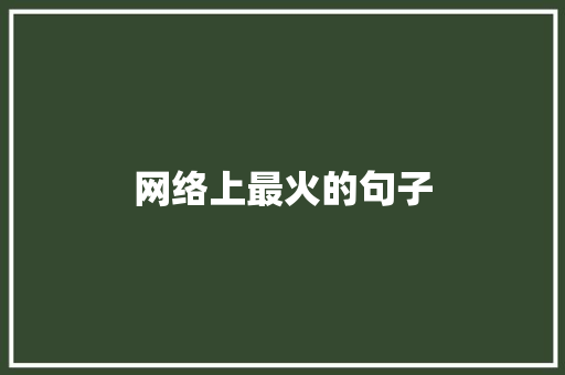 网络上最火的句子