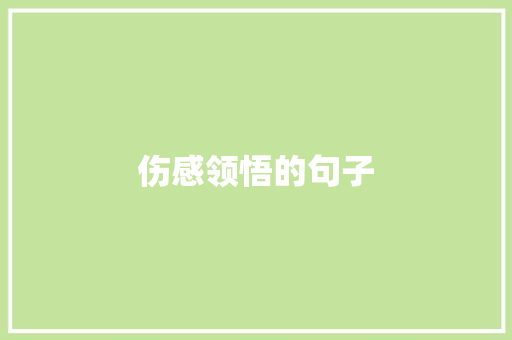 伤感领悟的句子