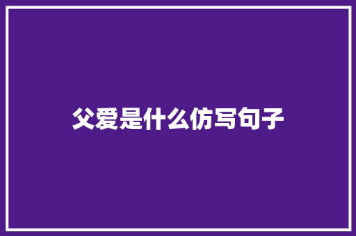 父爱是什么仿写句子