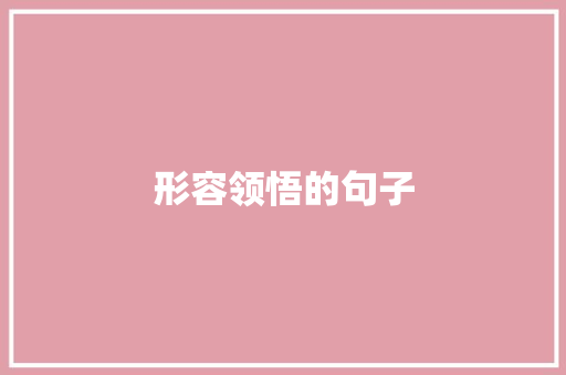形容领悟的句子