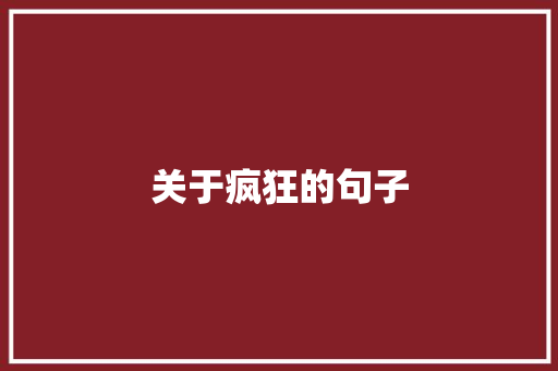 关于疯狂的句子