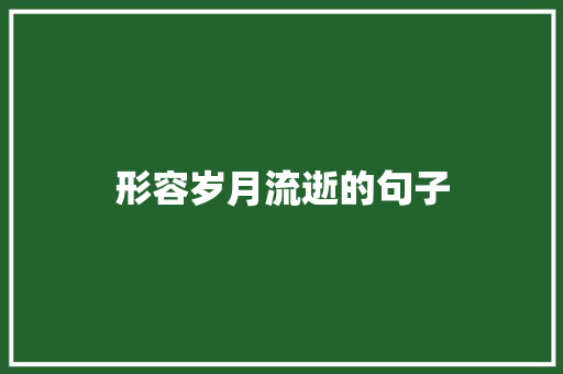 形容岁月流逝的句子