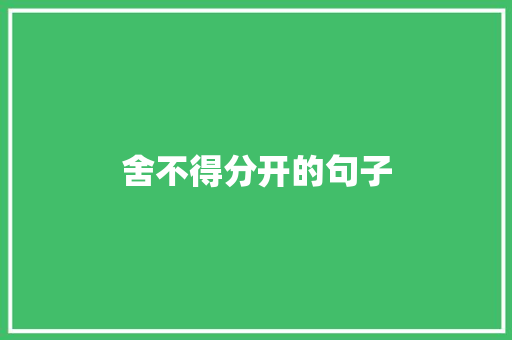 舍不得分开的句子