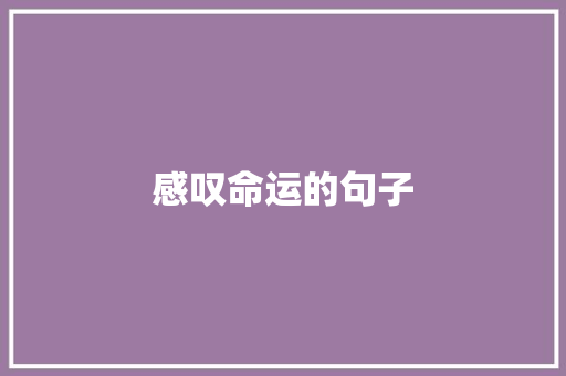 感叹命运的句子