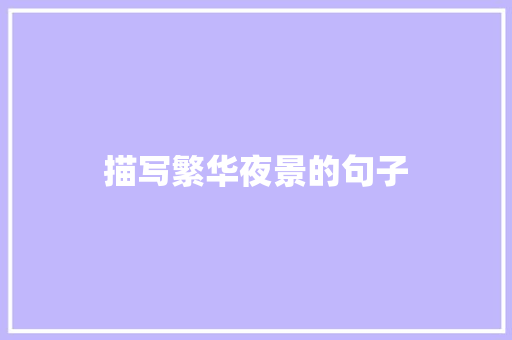 描写繁华夜景的句子