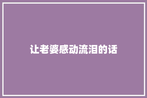 让老婆感动流泪的话