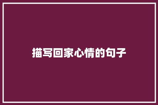 描写回家心情的句子