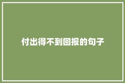 付出得不到回报的句子