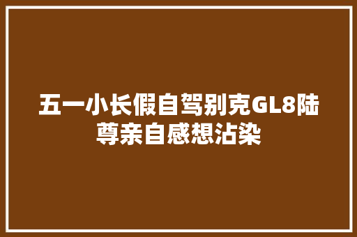 五一小长假自驾别克GL8陆尊亲自感想沾染