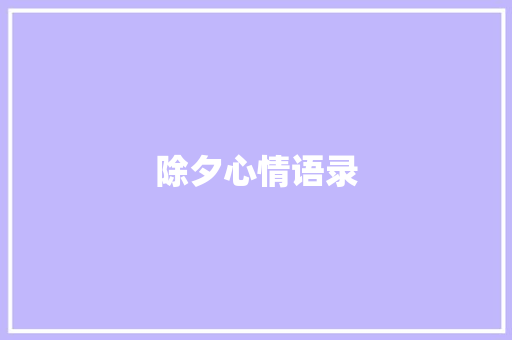 除夕心情语录