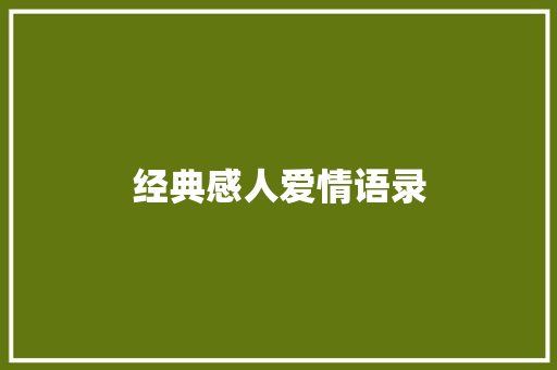 经典感人爱情语录