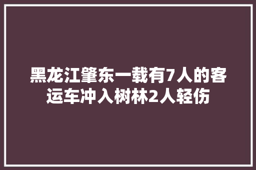 黑龙江肇东一载有7人的客运车冲入树林2人轻伤