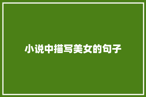小说中描写美女的句子