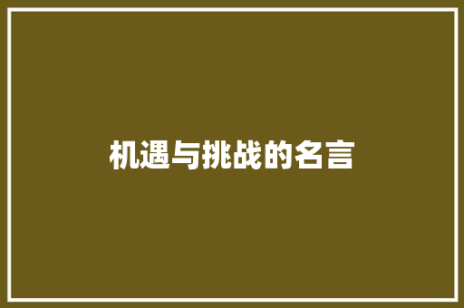 机遇与挑战的名言