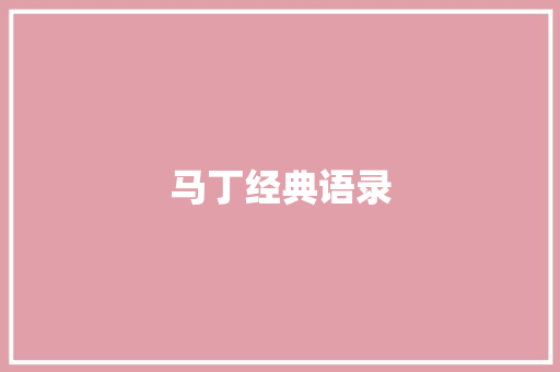马丁经典语录