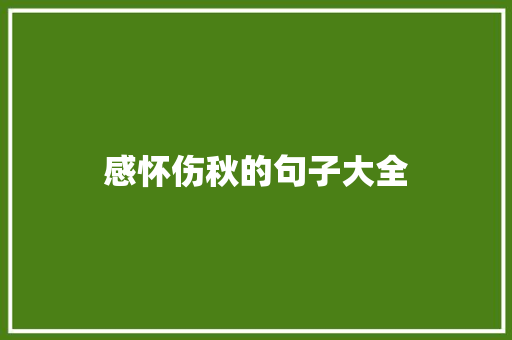 感怀伤秋的句子大全