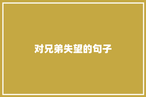 对兄弟失望的句子