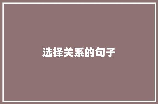 选择关系的句子