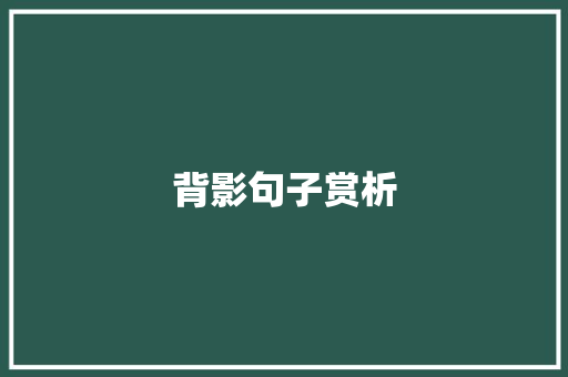 背影句子赏析