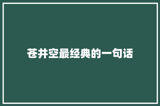 苍井空最经典的一句话